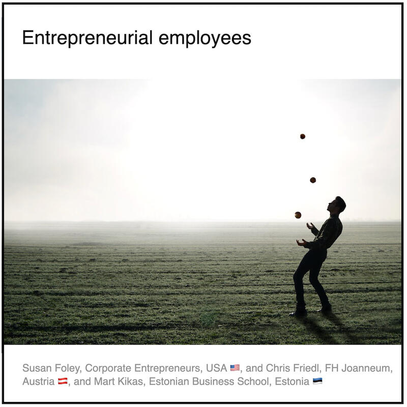 Download PDF: Entrepreneurial employees by Paul Coyle (Entrepreneurial Mindset Network, France) and Susan Foley (Corporate Entrepreneurs, USA) and Chris Friedl (FH Joanneum, Austria) and Mart Kikas (Estonian Business School, Estonia) .