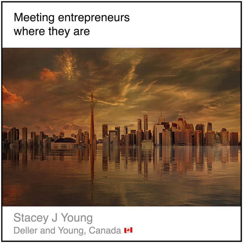 Download PDF: Meeting entrepreneurs where they are by Stacey J Young (Deller and Young, Canada).